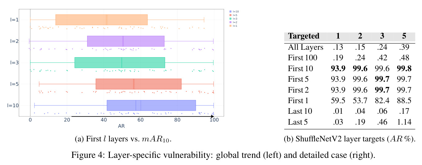 Layer-specific vulnerability: global trend (left) and detailed case (right)
