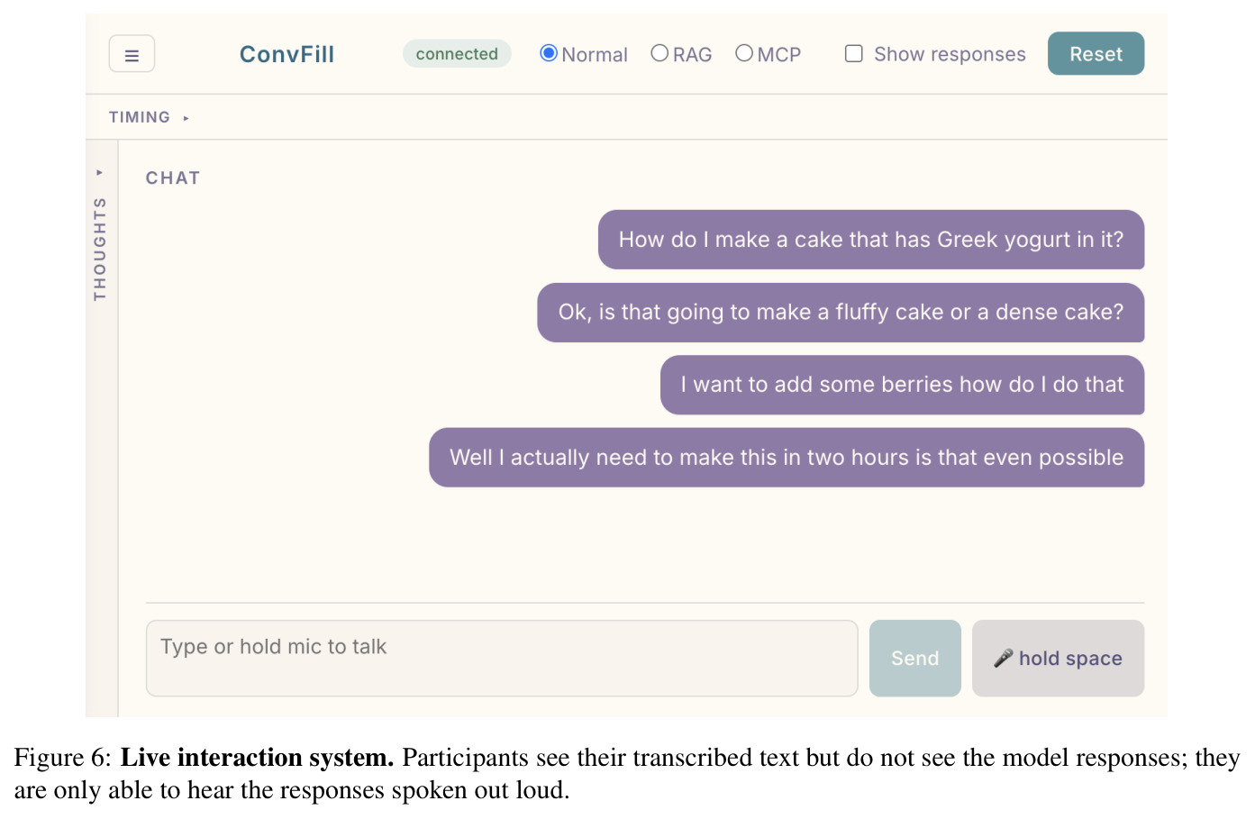 Format for ConvFill training and inference