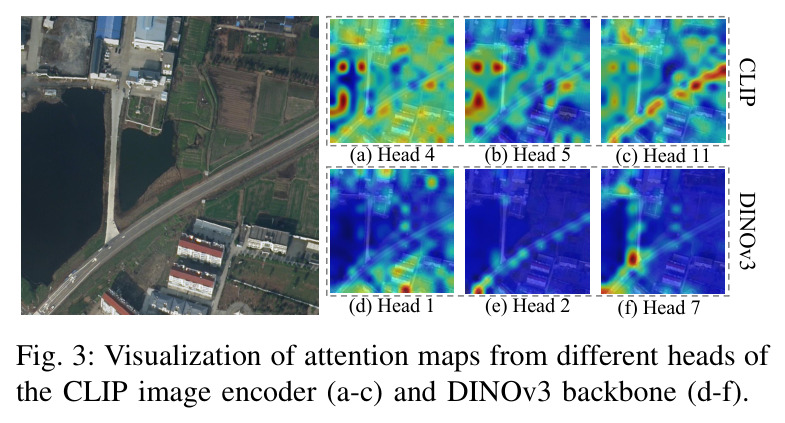Visualization of attention maps from different heads of the CLIP image encoder (a-c) and DINOv3 backbone (d-f).