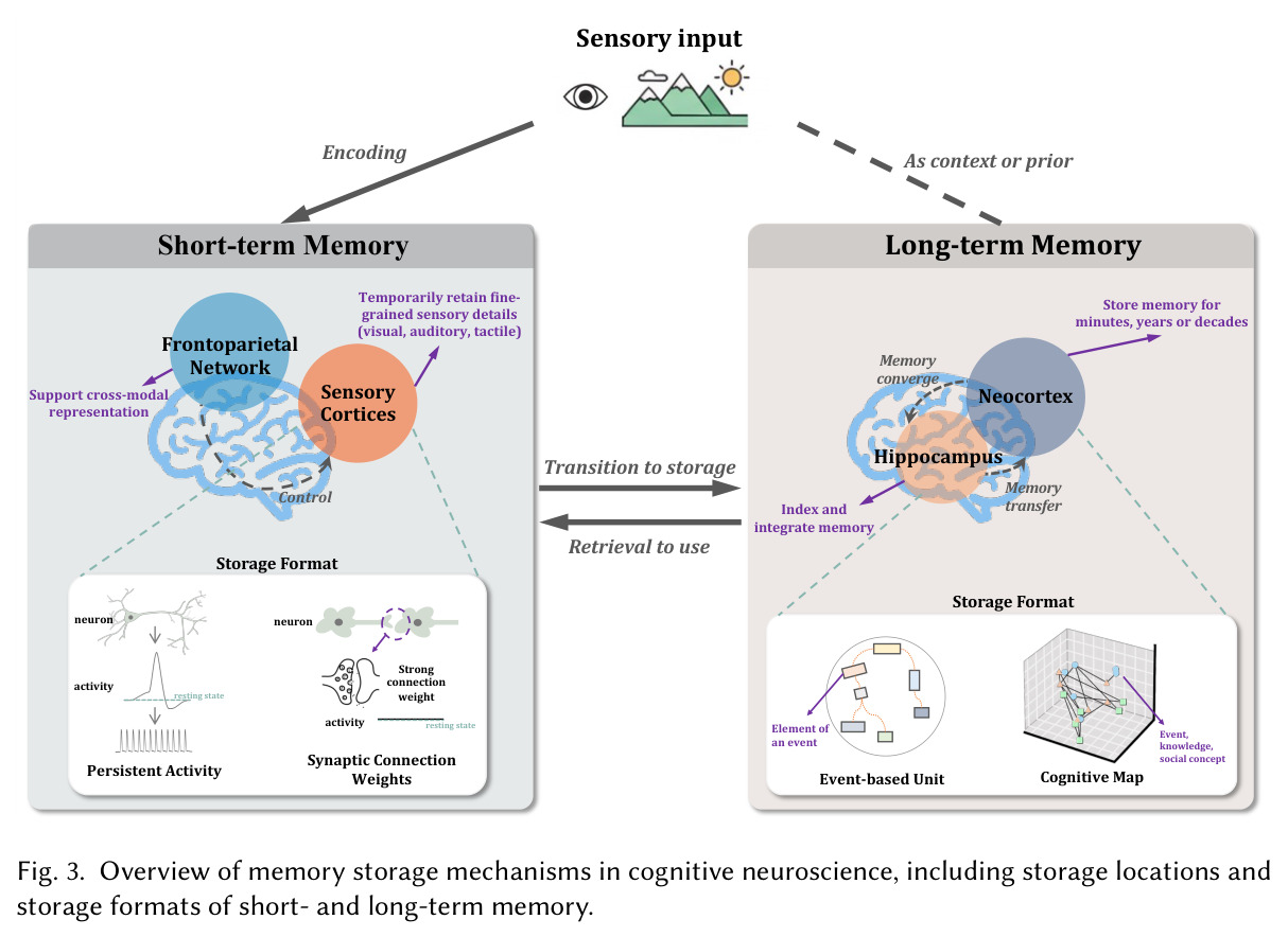 Overview of memory storage mechanisms in cognitive neuroscience