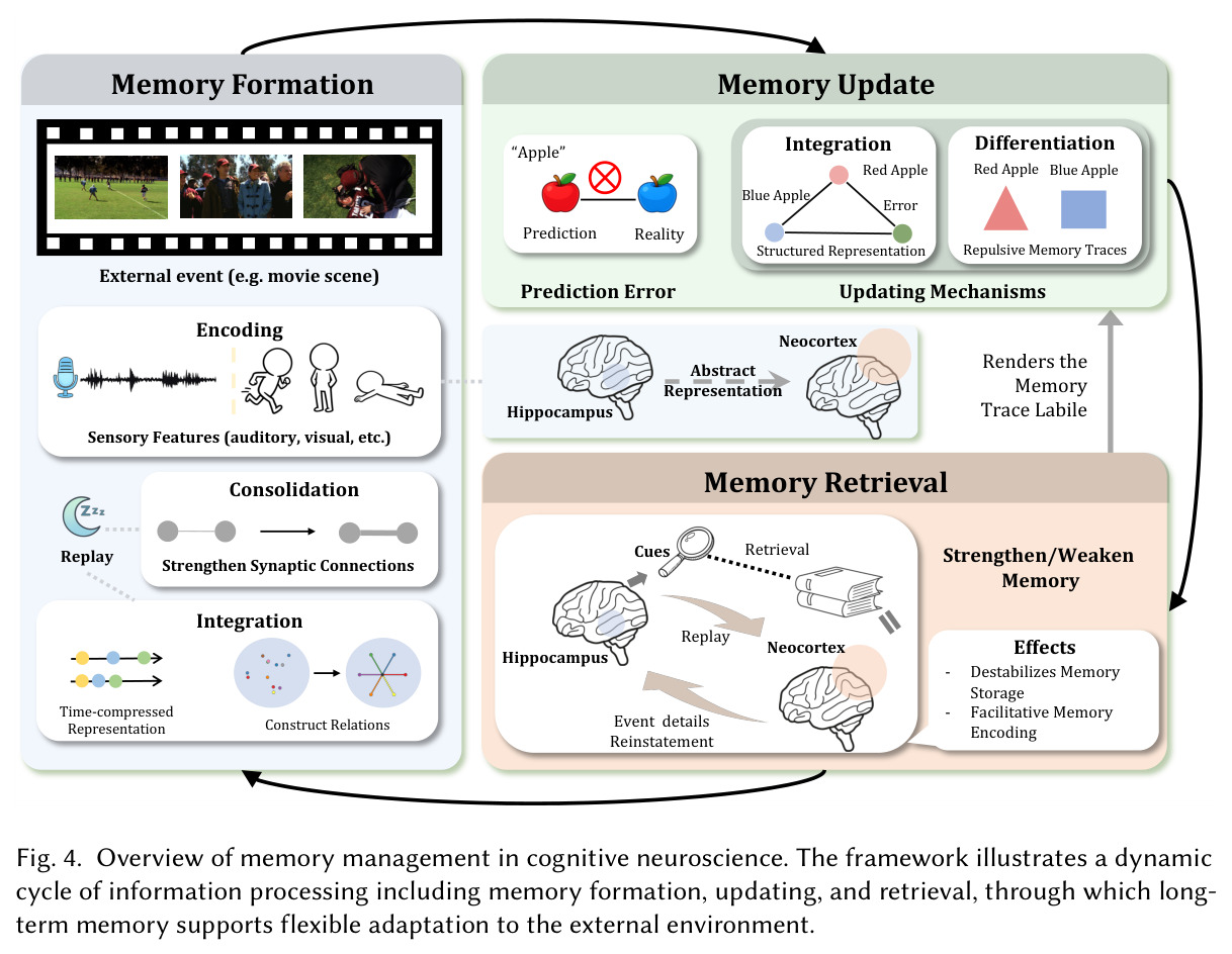 Overview of memory management in cognitive neuroscience