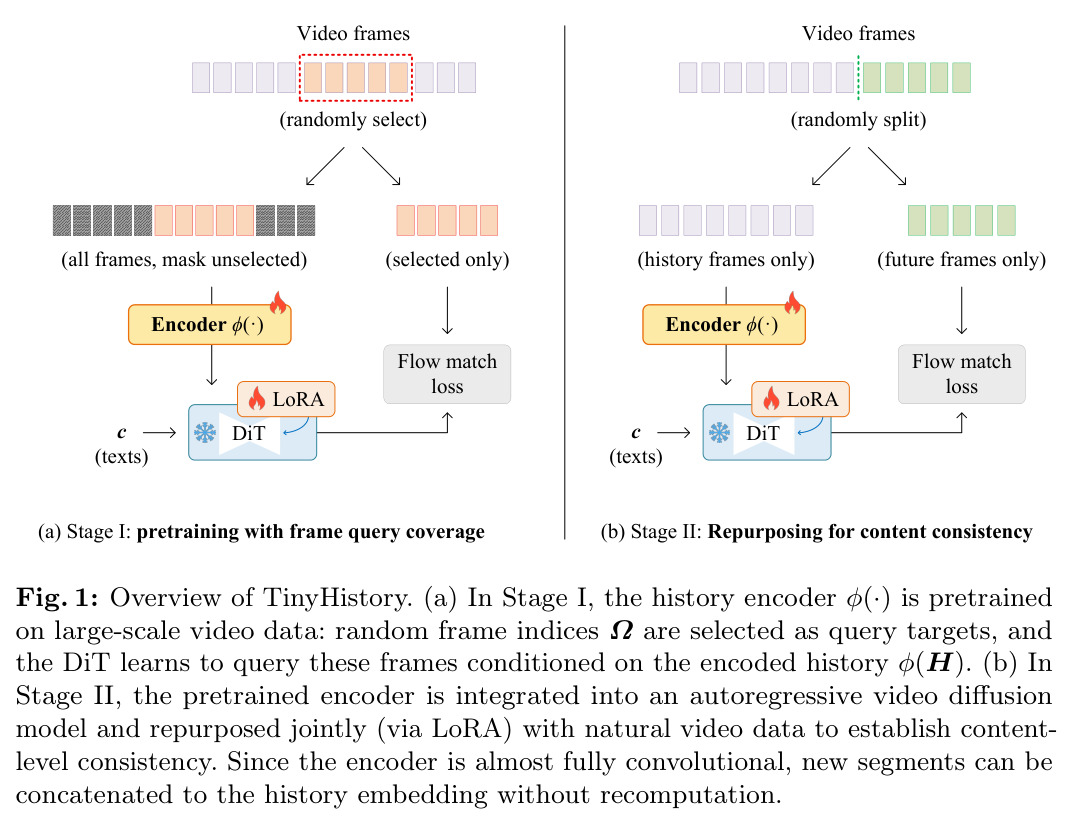 Overview of TinyHistory. (a) In Stage I, the history encoder is pretrained on large-scale video data: random frame indices are selected as query targets, and the DiT learns to query these frames conditioned on the encoded history. (b) In Stage II, the pretrained encoder is integrated into an autoregressive video diffusion model and repurposed jointly via LoRA with natural video data to establish content-level consistency. Since the encoder is almost fully convolutional, new segments can be concatenated to the history embedding without recomputation.