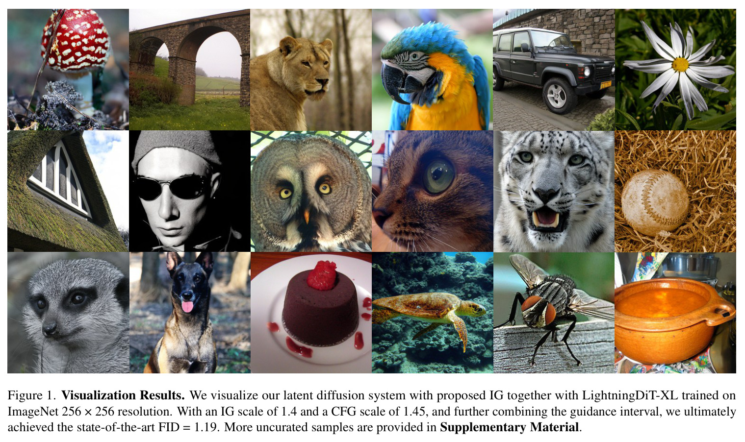 Visualization Results. We visualize our latent diffusion system with proposed IG together with LightningDiT-XL trained on ImageNet 256 × 256 resolution.