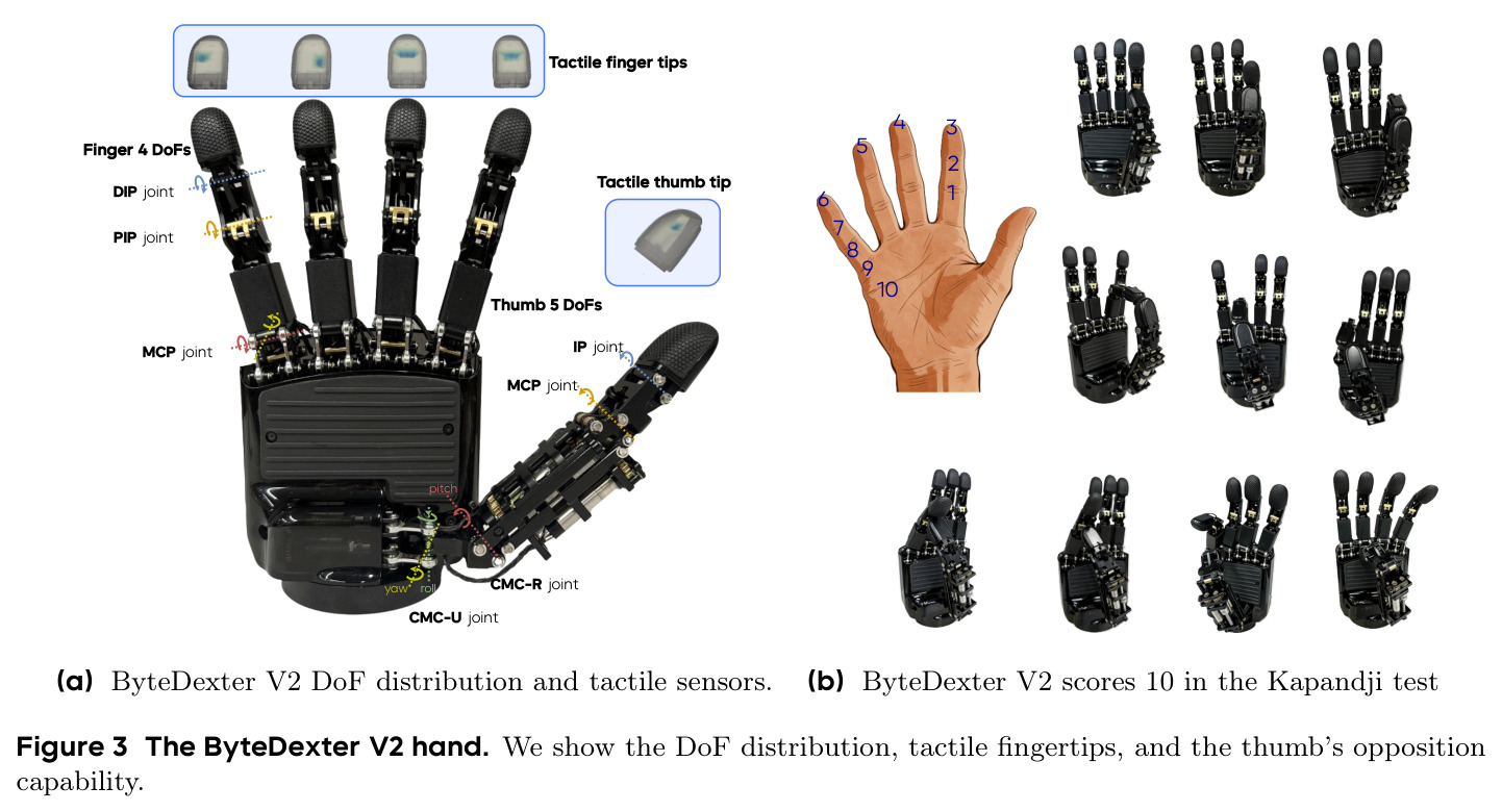 The ByteDexter V2 hand. We show the DoF distribution, tactile fingertips, and the thumb's opposition capability.