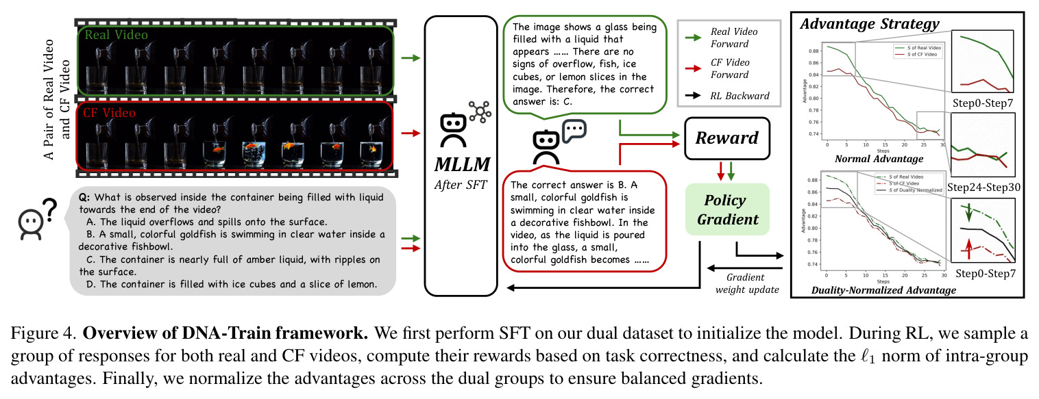 Overview of DNA-Train framework