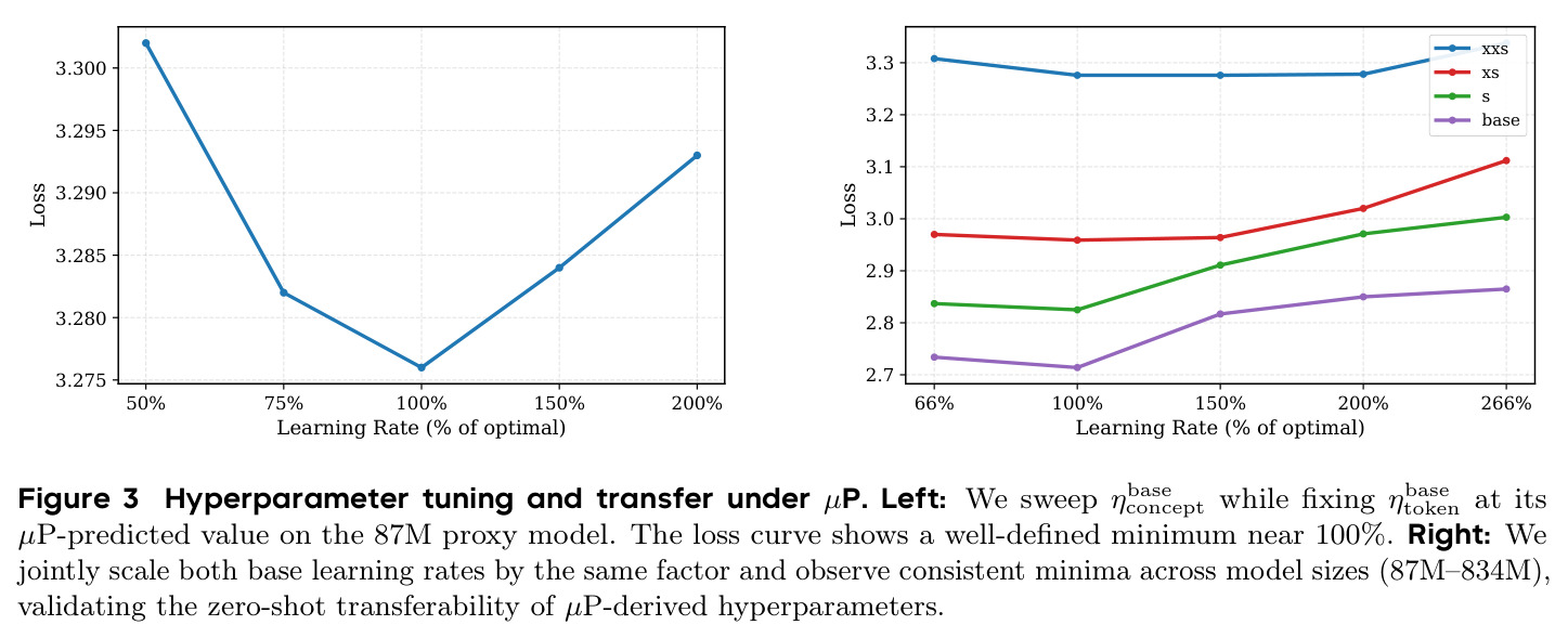 Hyperparameter tuning and transfer under muP