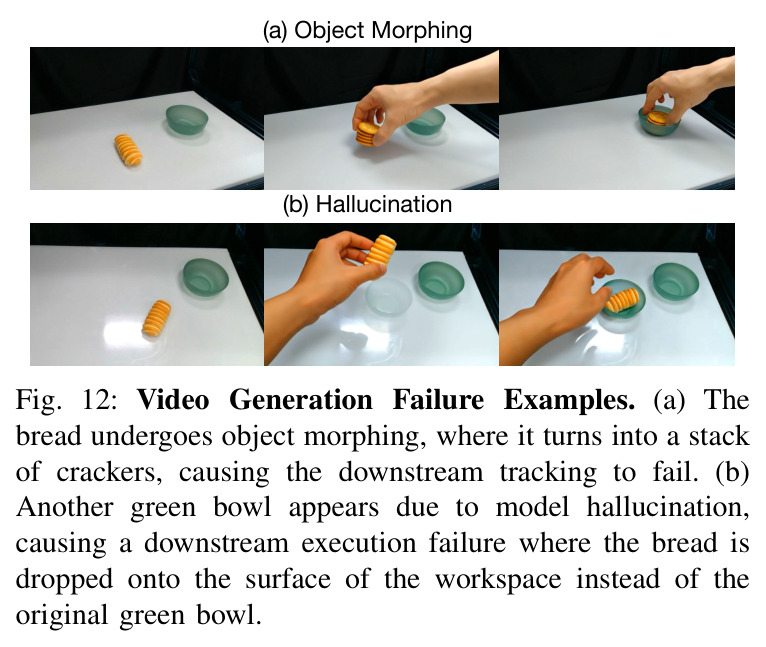 Video Generation Failure Examples.
