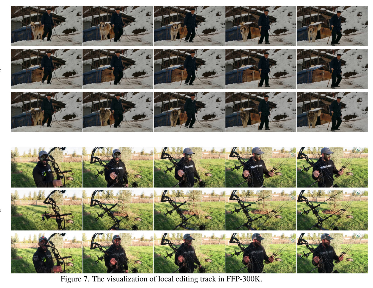 The visualization of local editing track in FFP-300K.