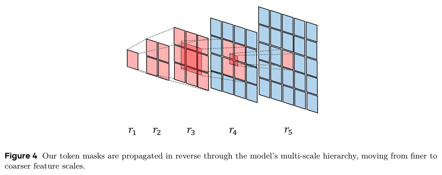 Our token masks are propagated in reverse through the model's multi-scale hierarchy, moving from finer to coarser feature scales.