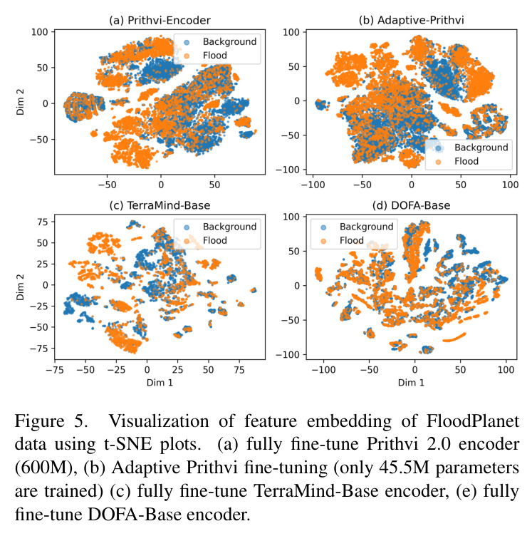 Visualization of feature embedding of FloodPlanet data using t-SNE plots
