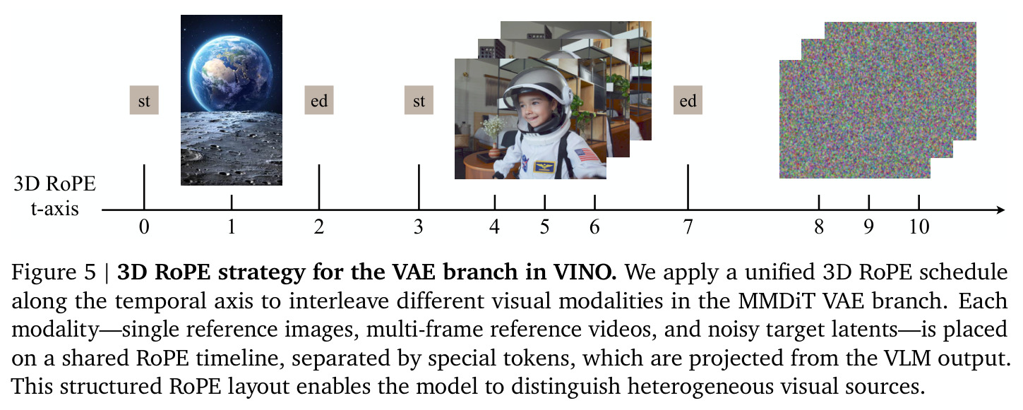 3D RoPE strategy for the VAE branch in VINO.