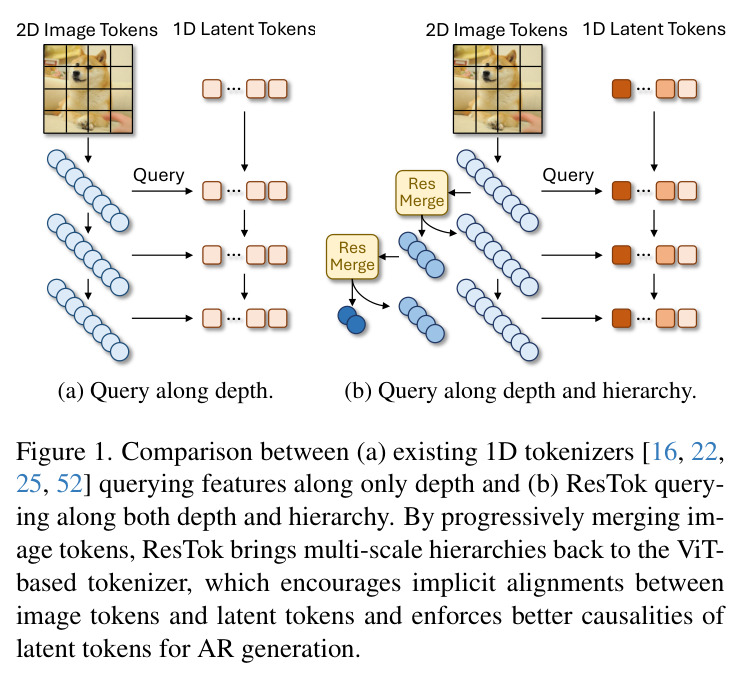 Comparison between (a) existing 1D tokenizers [16, 22, 25, 52] querying features along only depth and (b) ResTok querying along both depth and hierarchy. By progressively merging image tokens, ResTok brings multi-scale hierarchies back to the ViT-based tokenizer, which encourages implicit alignments between image tokens and latent tokens and enforces better causalities of latent tokens for AR generation.