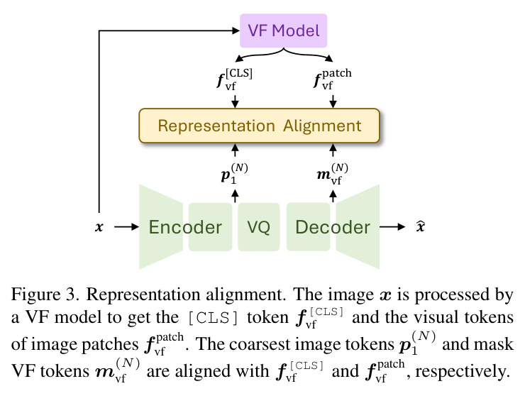 Representation alignment. The image x is processed by a VF model to get the [CLS] token and the visual tokens of image patches. The coarsest image tokens and mask VF tokens are aligned with the [CLS] token and the patch tokens, respectively.