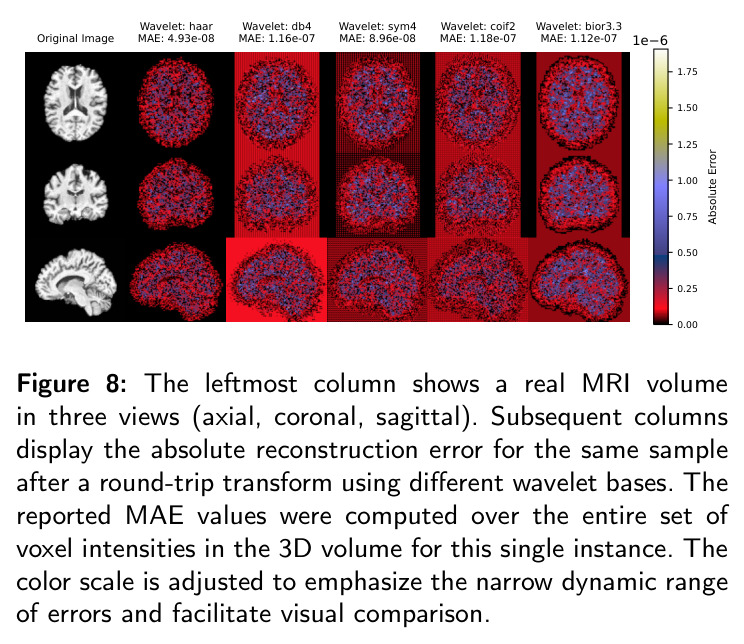 The leftmost column shows a real MRI volume in three views. Subsequent columns display the absolute reconstruction error for the same sample after a round-trip transform using different wavelet bases.