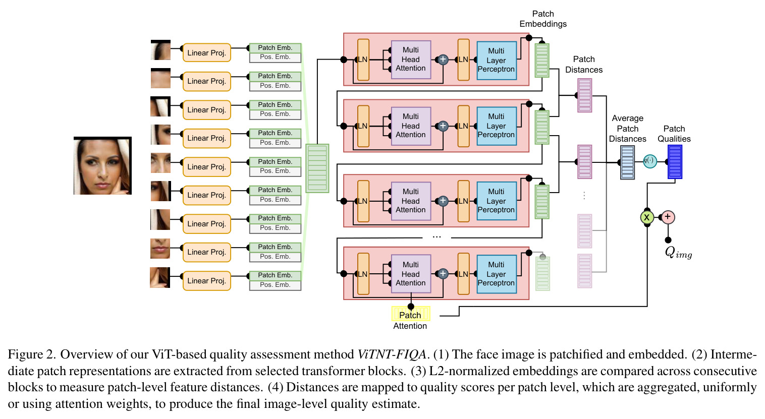 Overview of ViTNT-FIQA Method