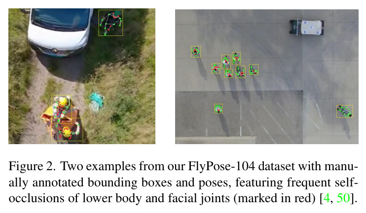 FlyPose-104数据集标注示例
