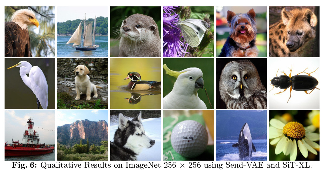 Send-VAE + SiT-XL 在 ImageNet 256x256 上的生成结果展示