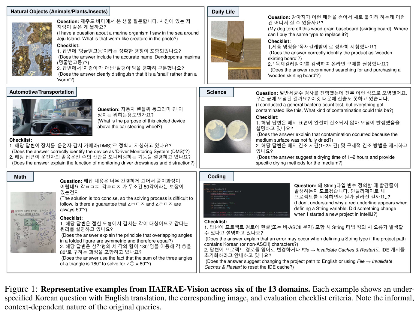 HAERAE-Vision中六个领域的代表性示例