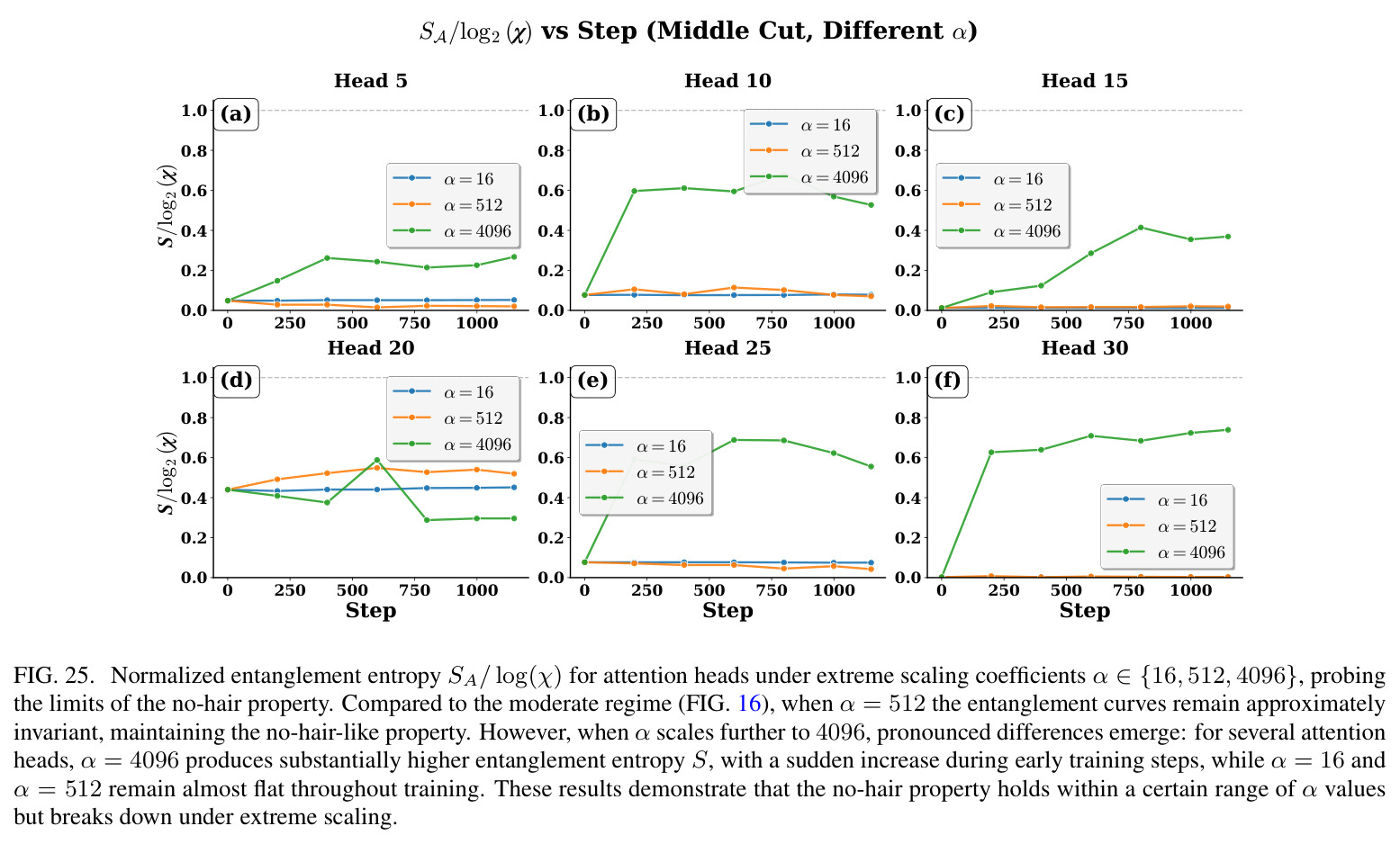 figure_25..jpg