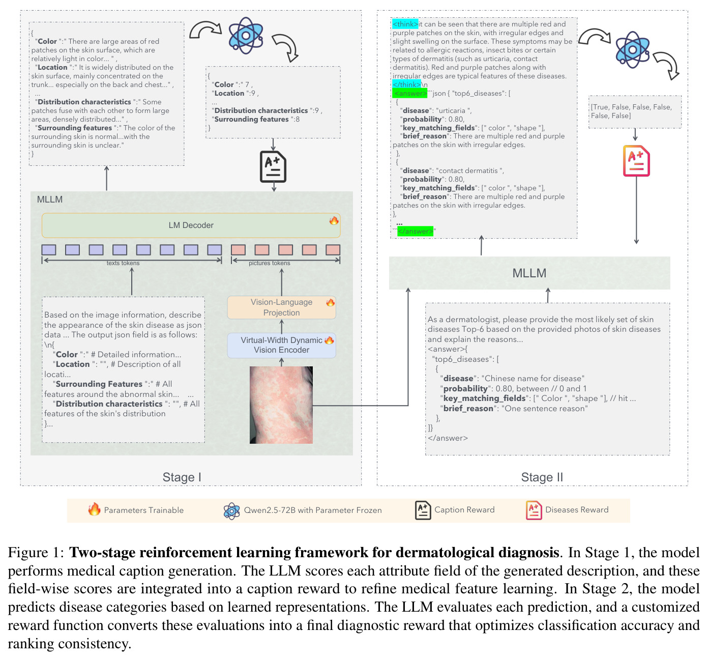 Two-stage reinforcement learning framework for dermatological diagnosis