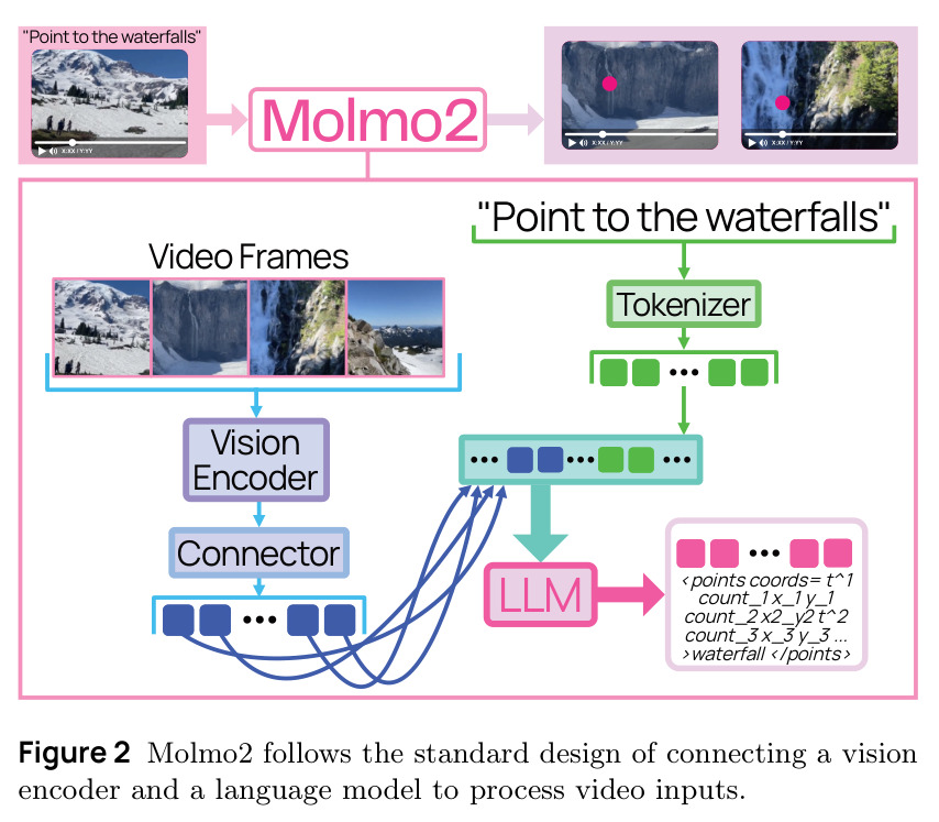 Molmo2 模型架构