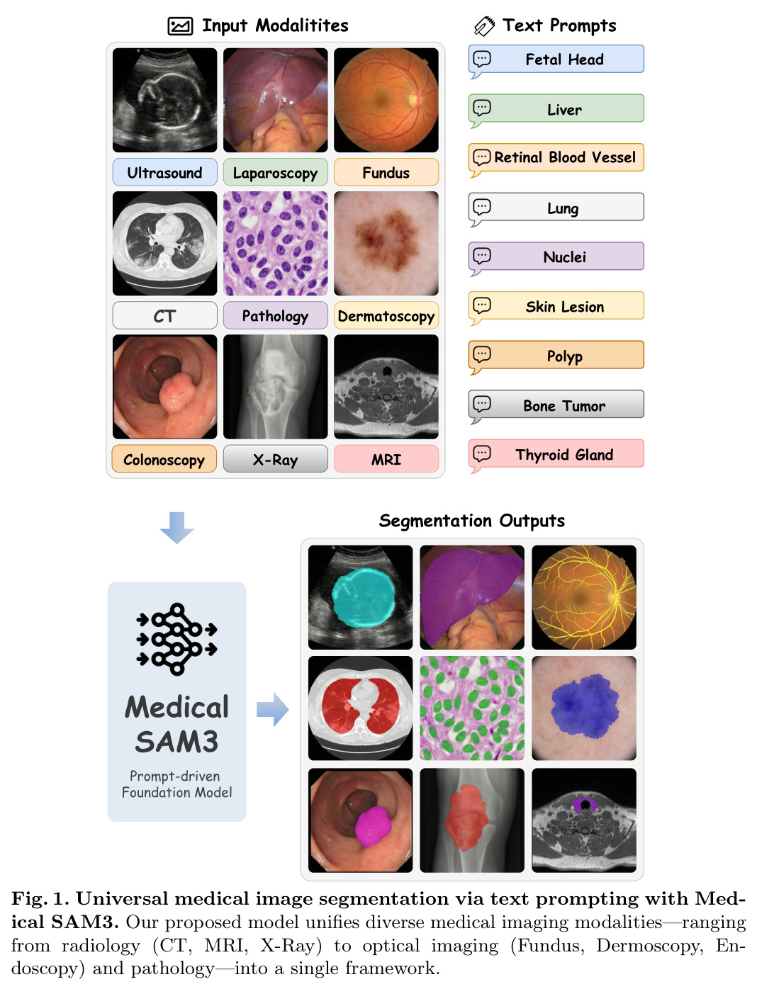Universal medical image segmentation via text prompting with Medical SAM3