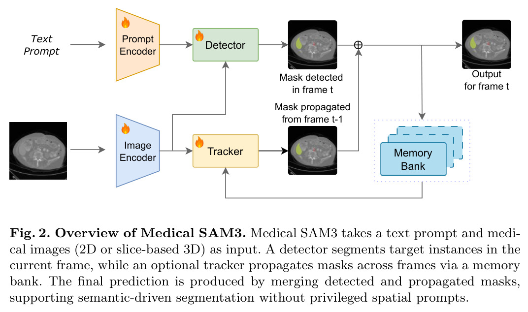 Overview of Medical SAM3