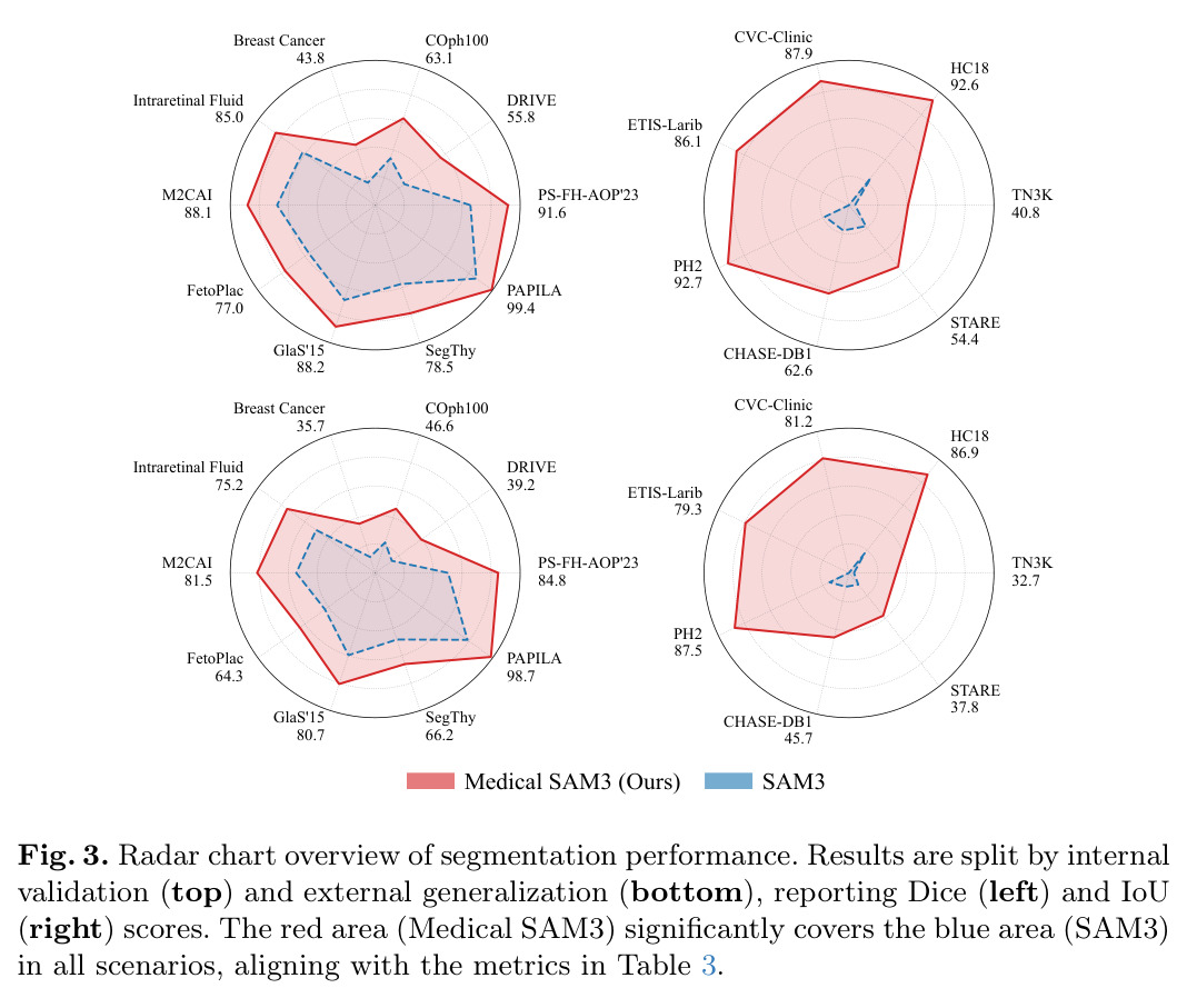 Radar chart overview of segmentation performance