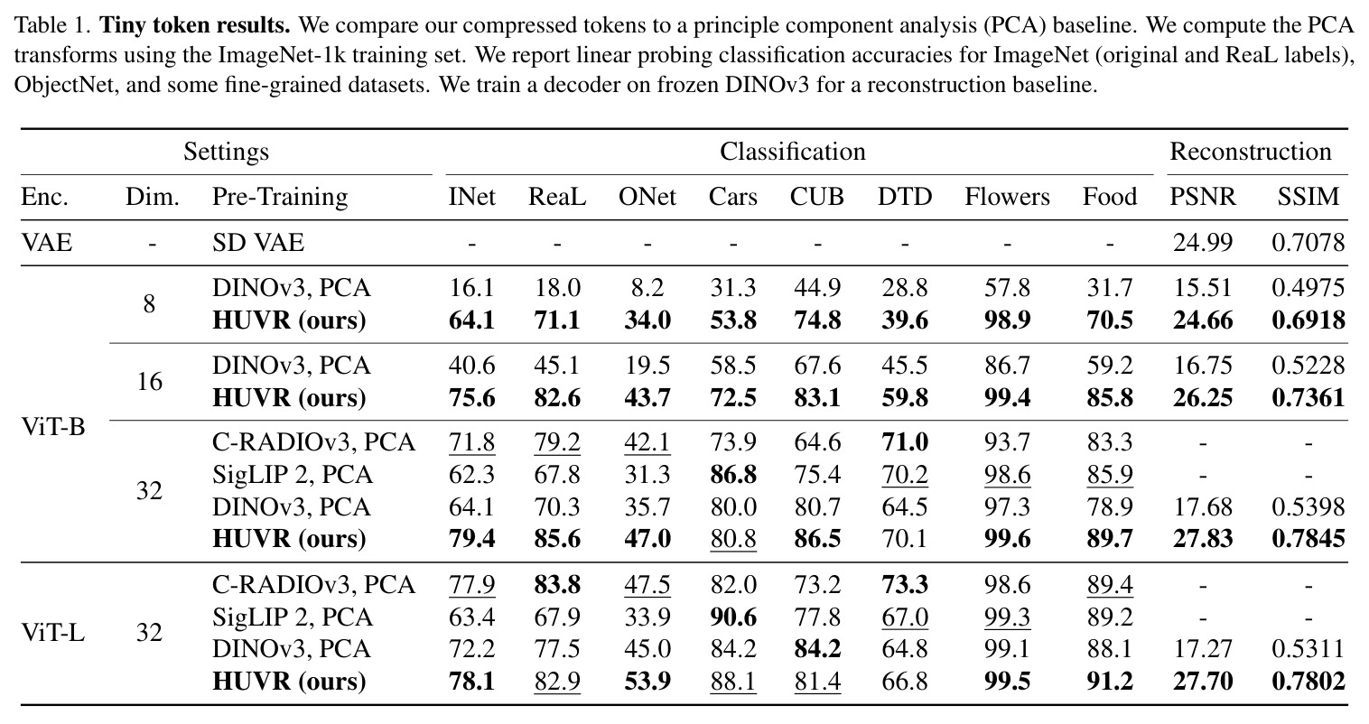 Tiny token results. We compare our compressed tokens to a principle component analysis (PCA) baseline.