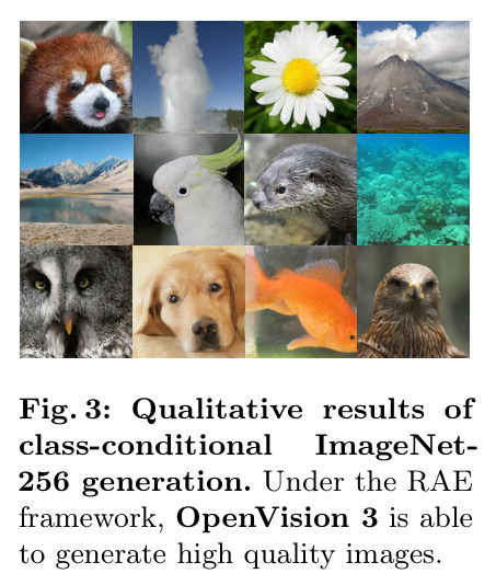 ImageNet-256类别条件生成可视化