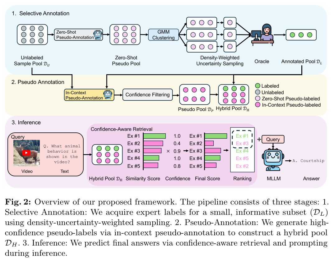 Overview of our proposed framework