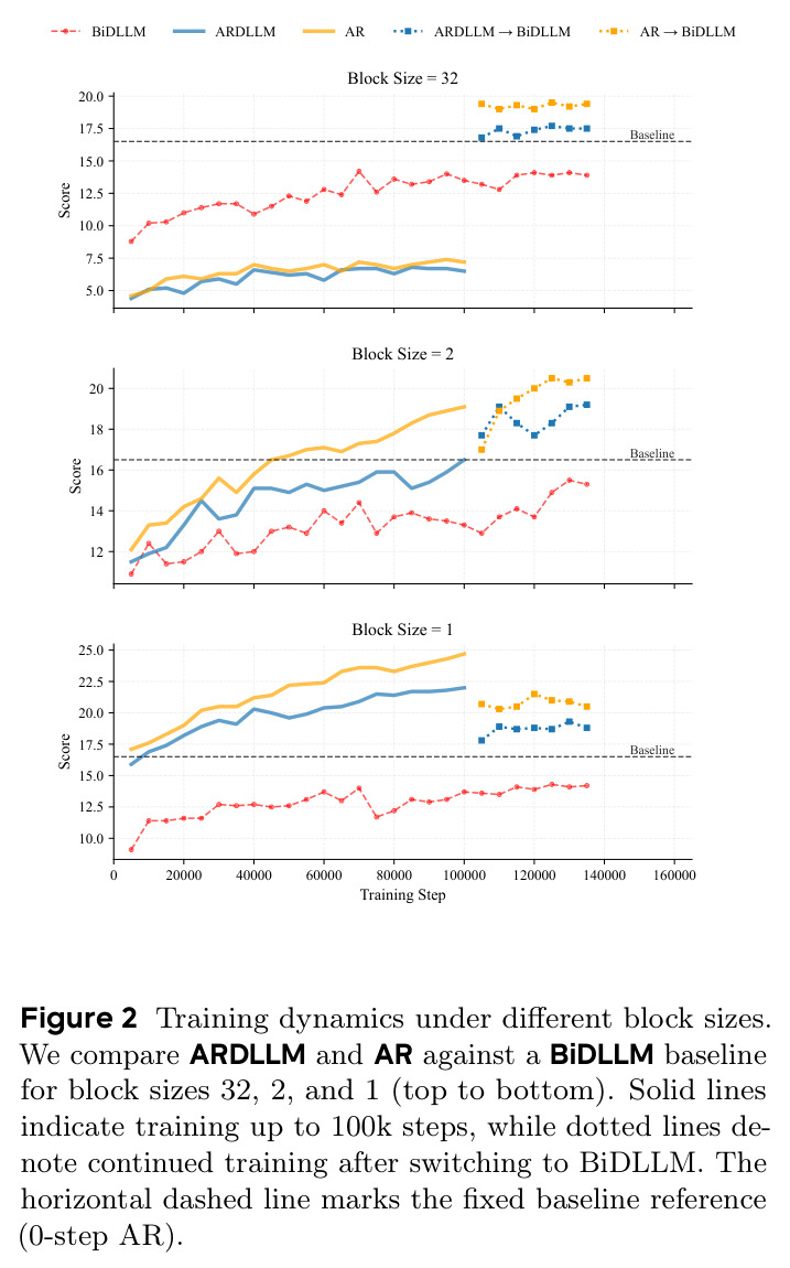 Training dynamics under different block sizes