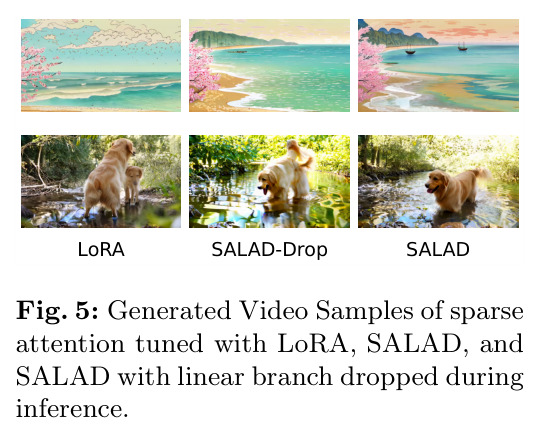 Generated Video Samples of sparse attention tuned with LoRA, SALAD, and SALAD with linear branch dropped during inference.