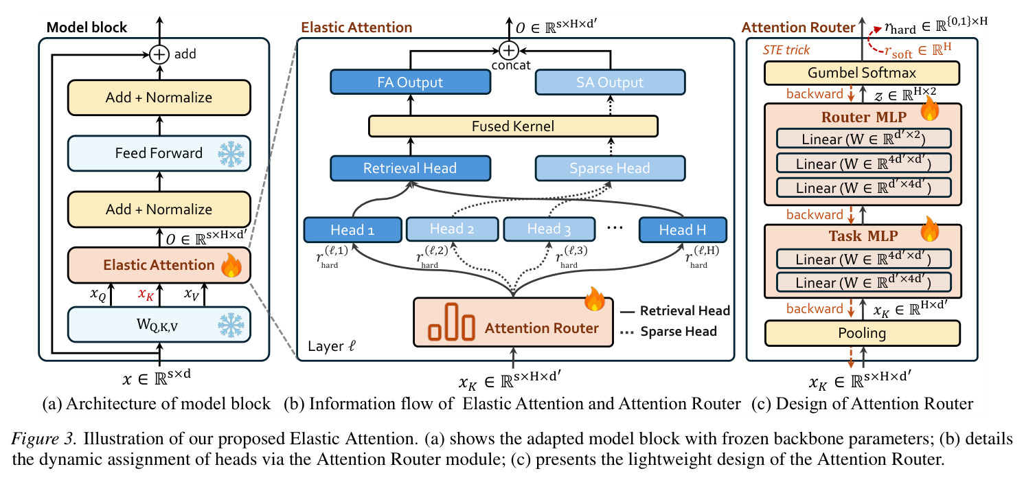 Illustration of our proposed Elastic Attention