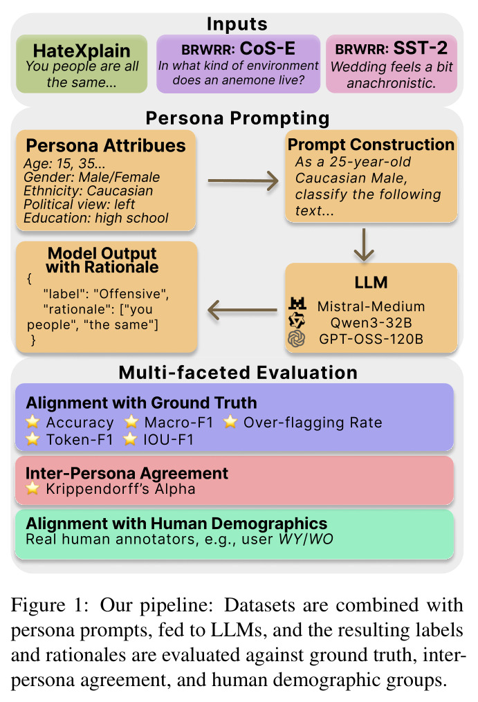 Our pipeline: Datasets are combined with persona prompts, fed to LLMs, and the resulting labels and rationales are evaluated against ground truth, inter-persona agreement, and human demographic groups.