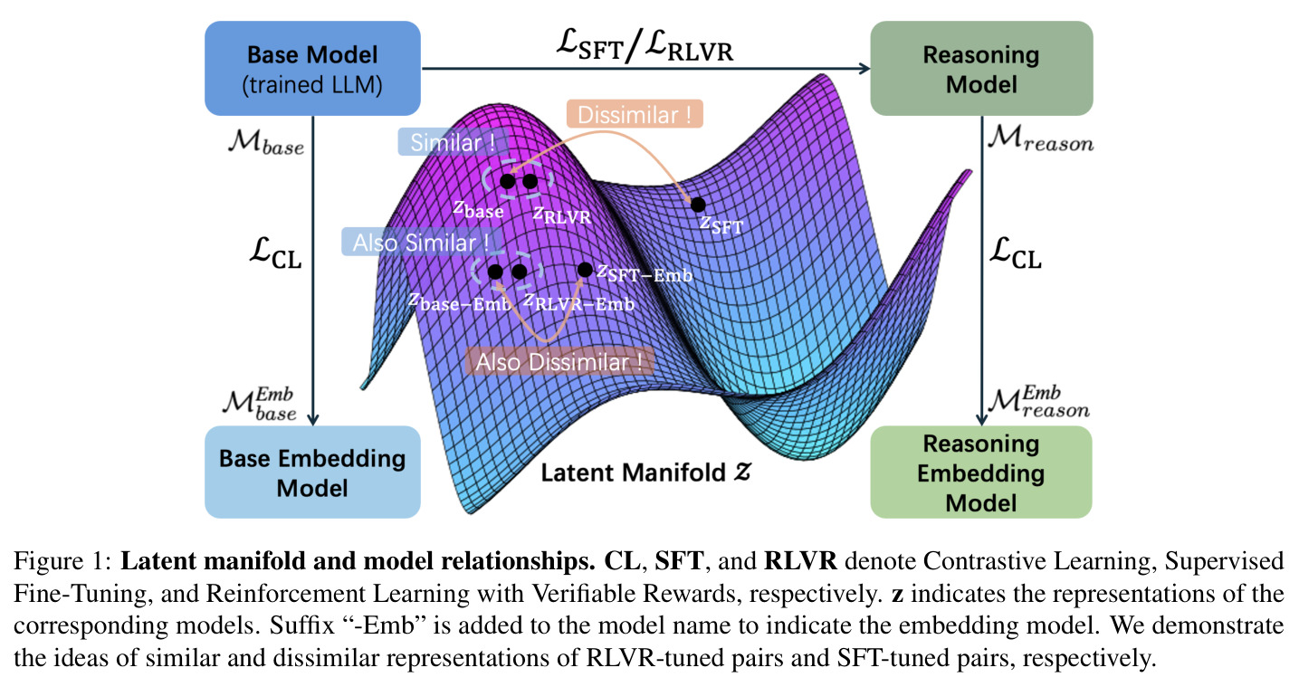 Latent manifold and model relationships
