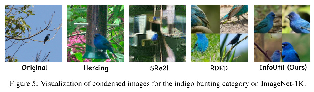 ImageNet-1K indigo bunting类别的蒸馏图像可视化