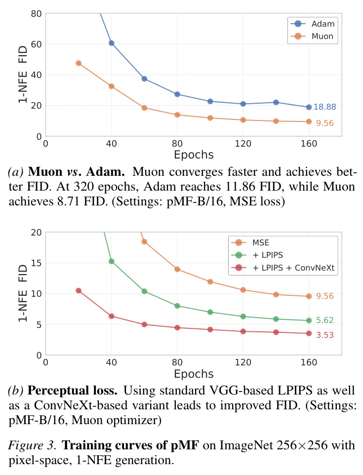 Training curves of pMF on ImageNet 256×256 with pixel-space, 1-NFE generation