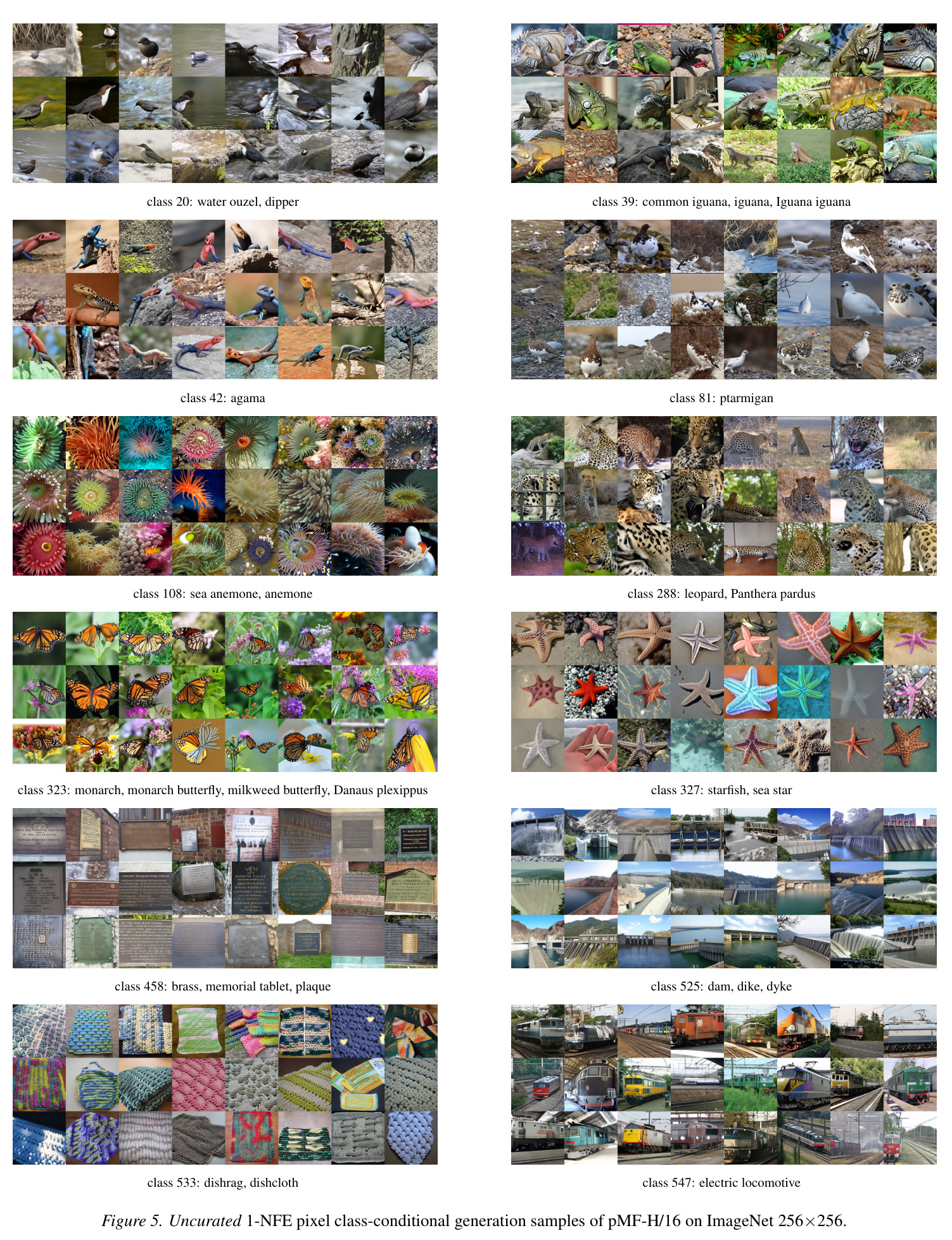 Qualitative results of 1-NFE pixel class-conditional generation on ImageNet 256×256