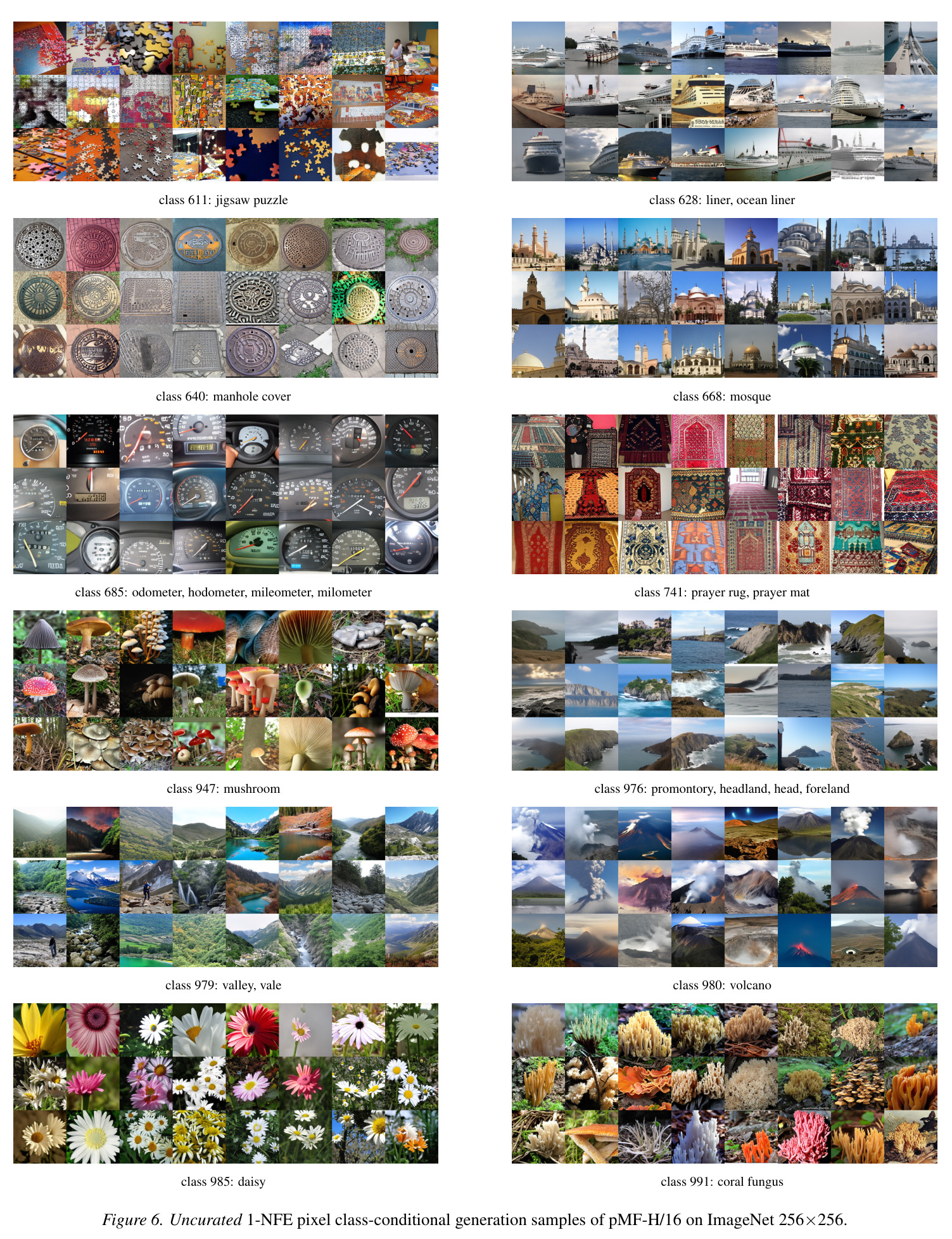 Uncurated 1-NFE pixel class-conditional generation samples of pMF-H/16 on ImageNet 256×256