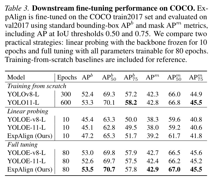 COCO下游微调性能对比