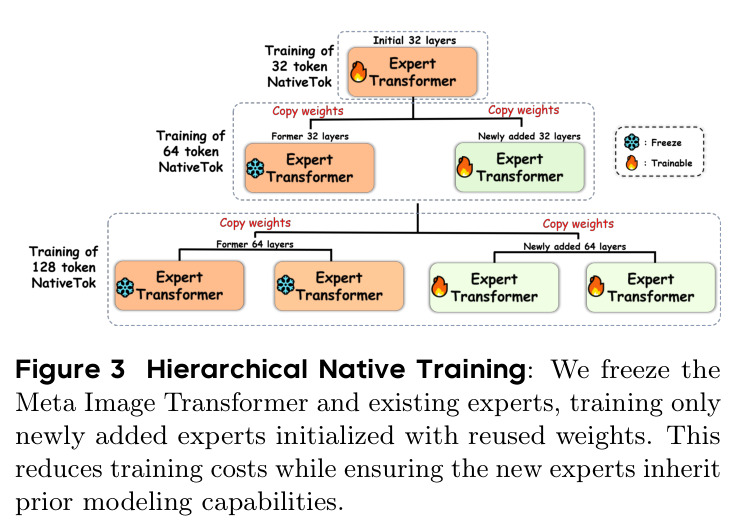 Hierarchical Native Training