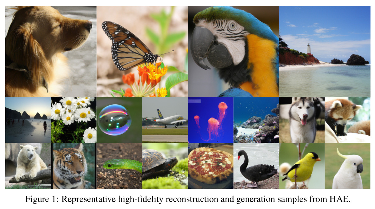 Representative high-fidelity reconstruction and generation samples from HAE