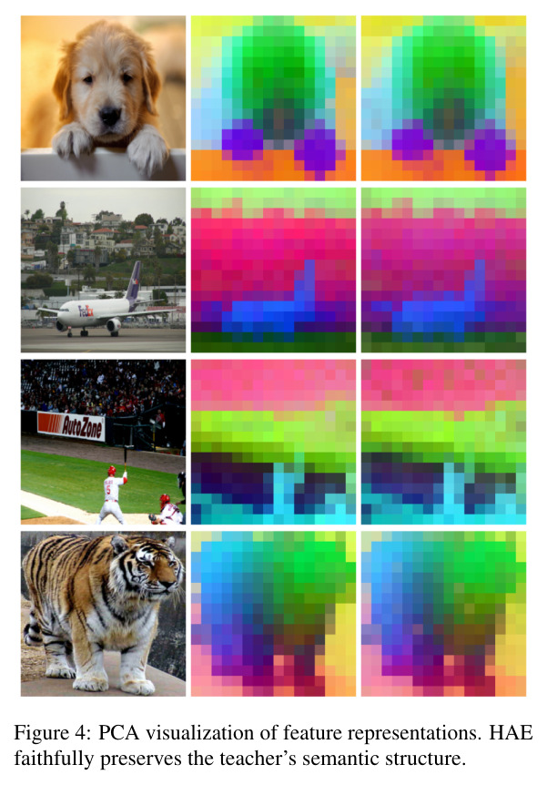 PCA visualization of feature representations