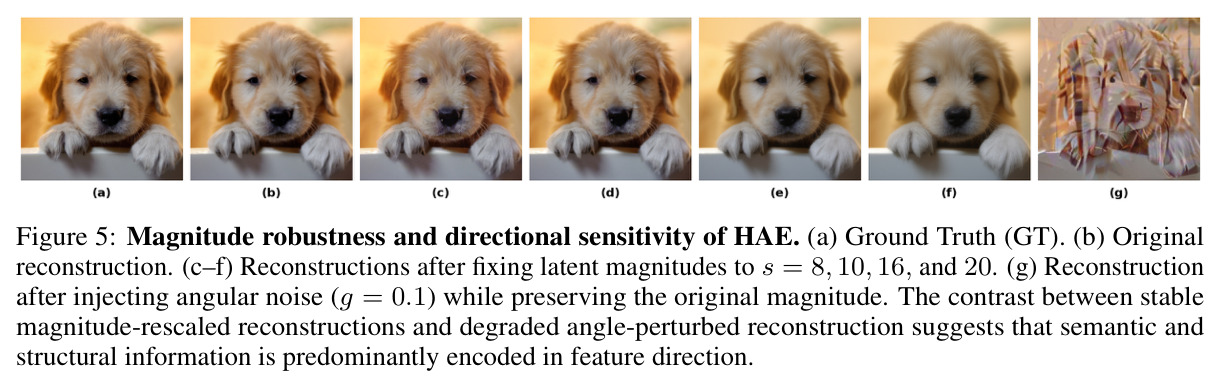 Magnitude robustness and directional sensitivity of HAE
