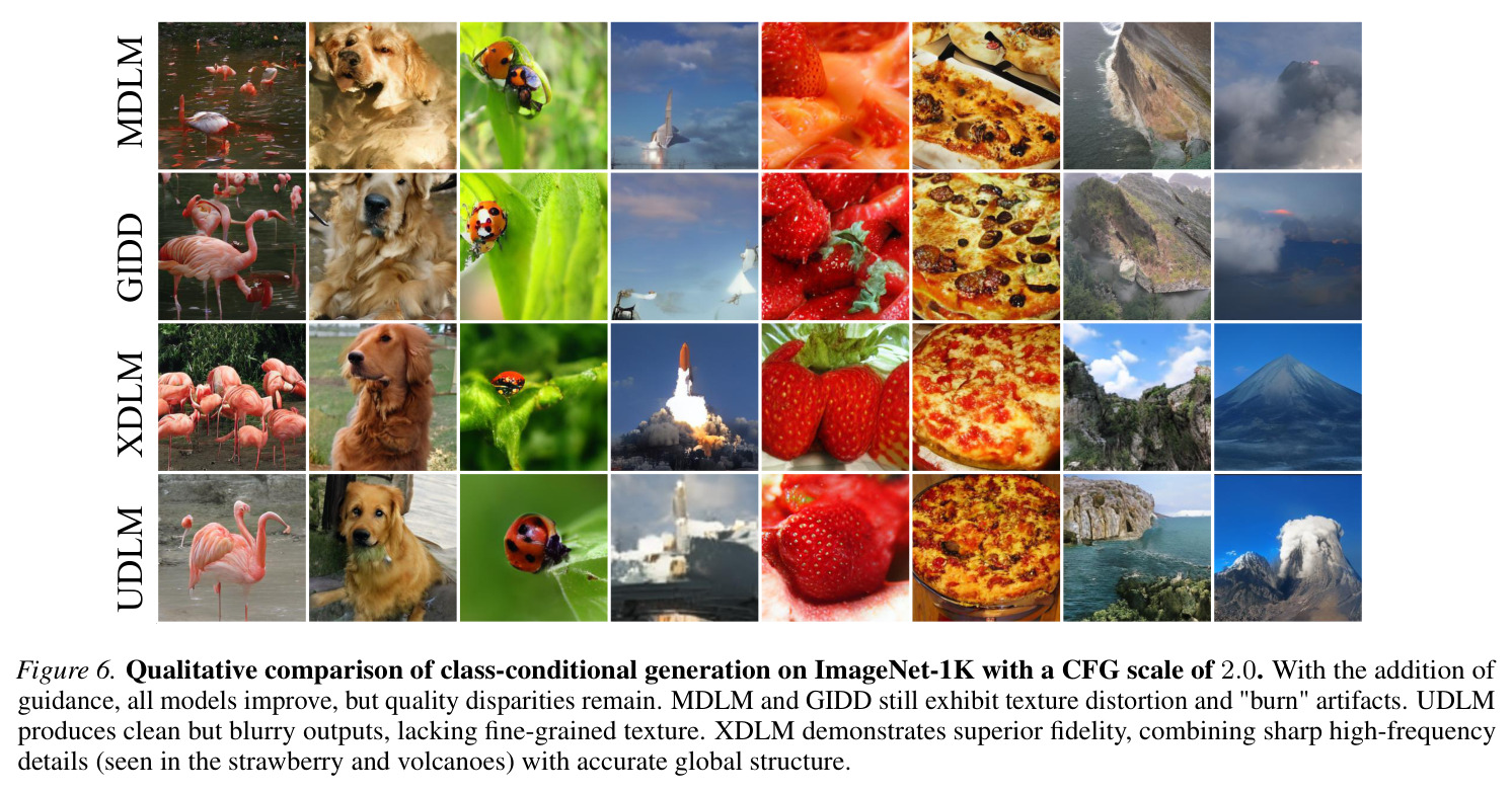 ImageNet-1K 有 CFG（scale=2.0）定性对比