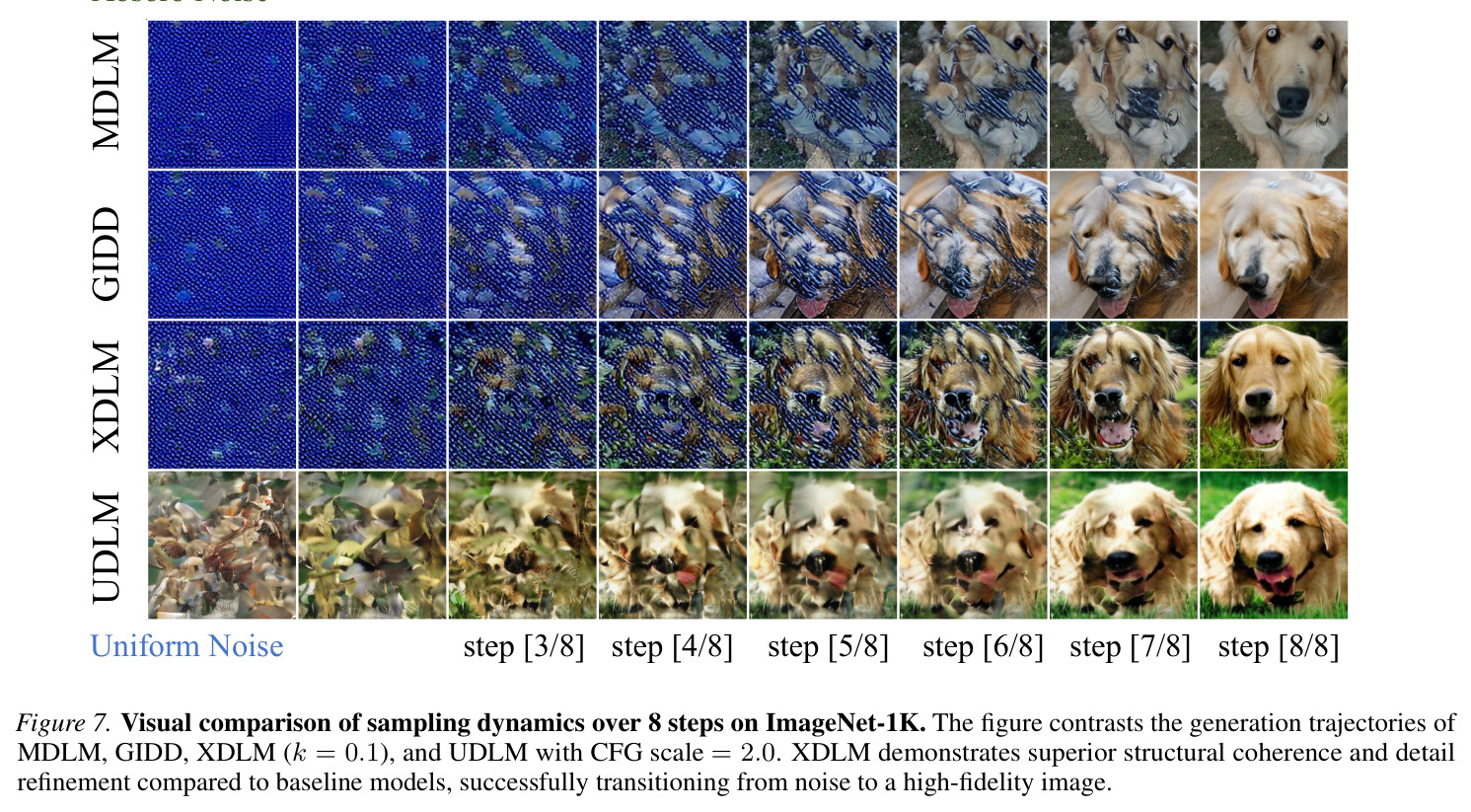 ImageNet-1K 8 步采样动态可视化