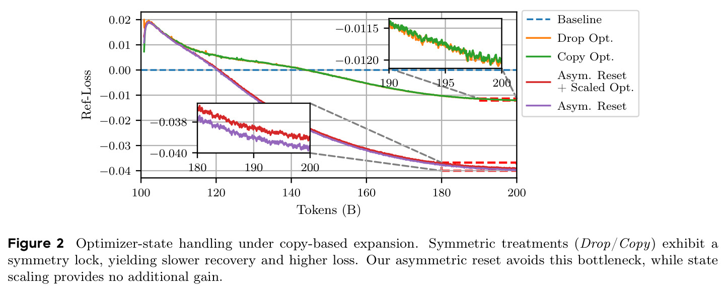 Optimizer-state handling under copy-based expansion