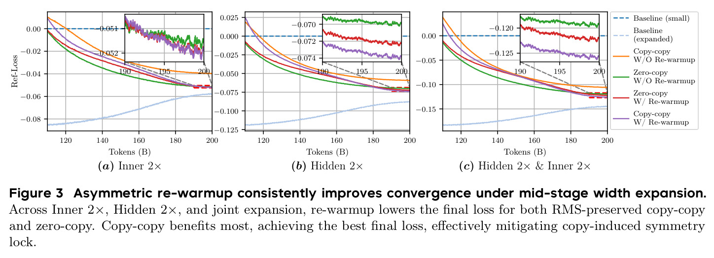 Asymmetric re-warmup consistently improves convergence under mid-stage width expansion