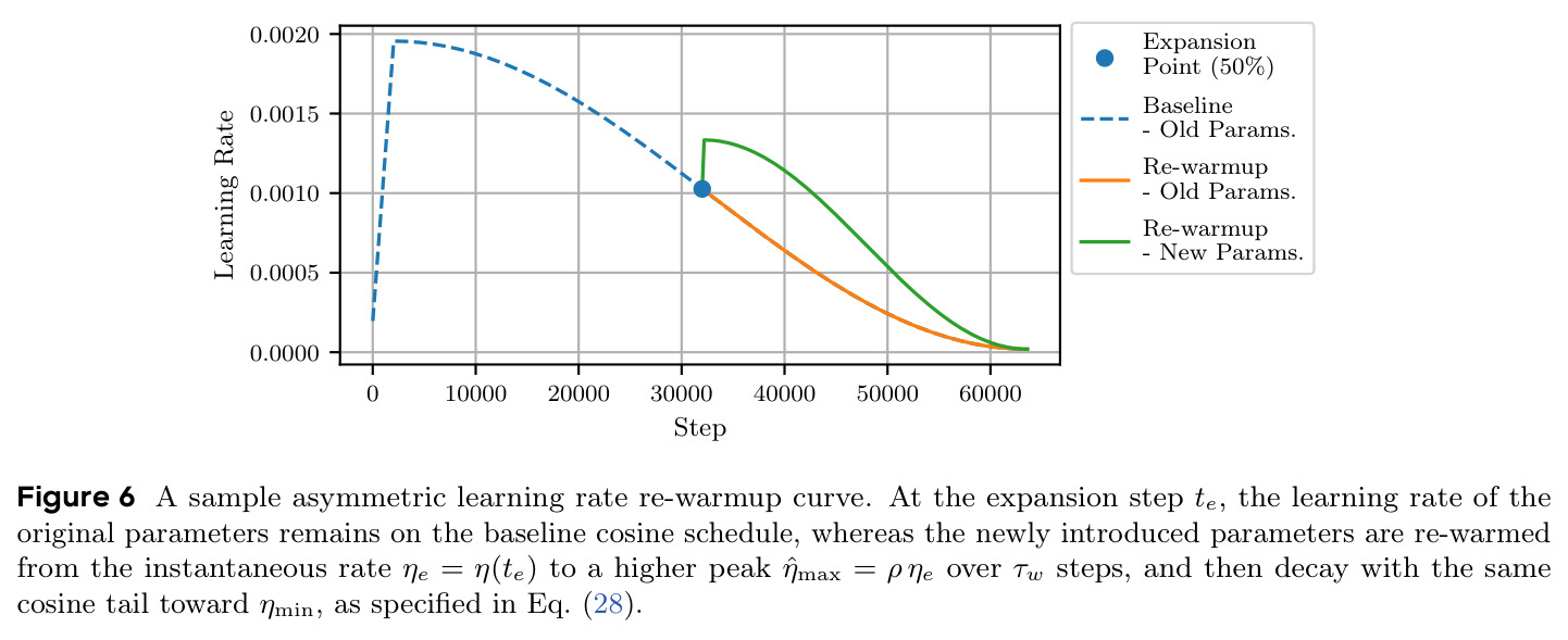 A sample asymmetric learning rate re-warmup curve